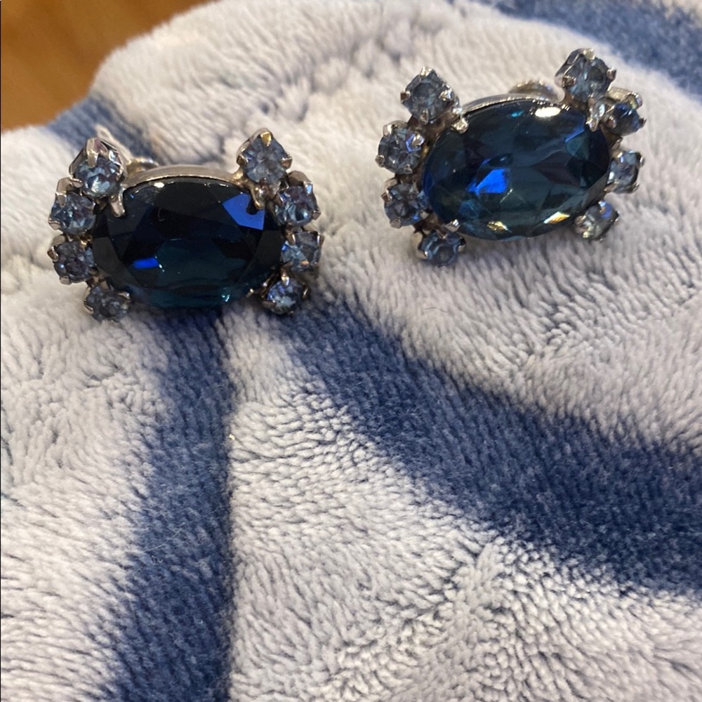 Elegant Blue Crystal Earrings